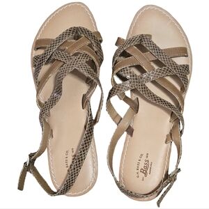 Bass Women's Tan Snakeskin Sandals